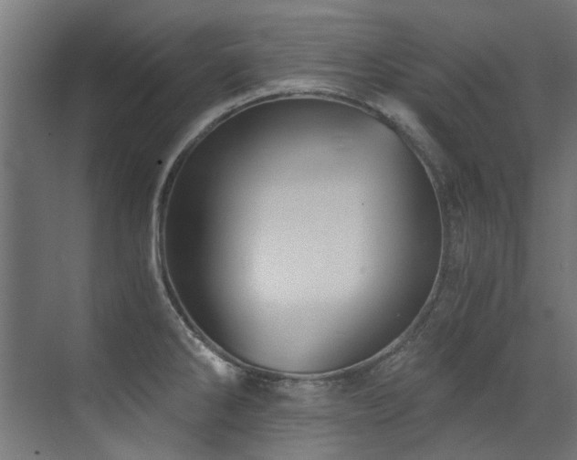 X0000072981286200607211240
