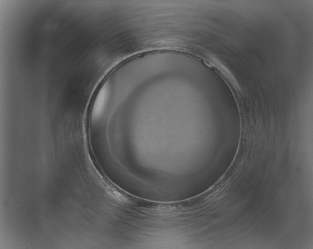 X0000072981291200607211239