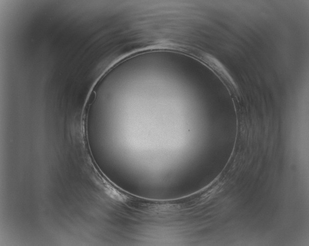 X0000072981292200607211239