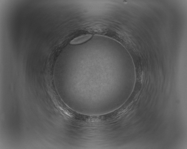 X0000072981297200607211239