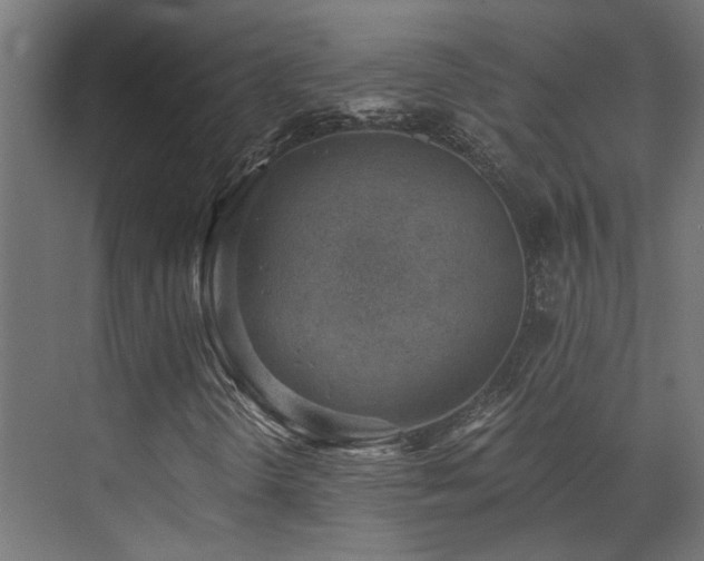 X0000072981298200607211239