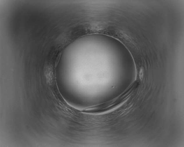 X0000072981299200607211239