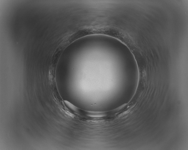 X0000072981300200607211239