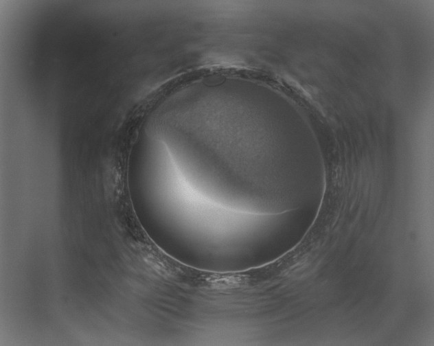 X0000072981303200607211239