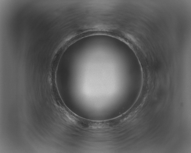 X0000072981307200607211239