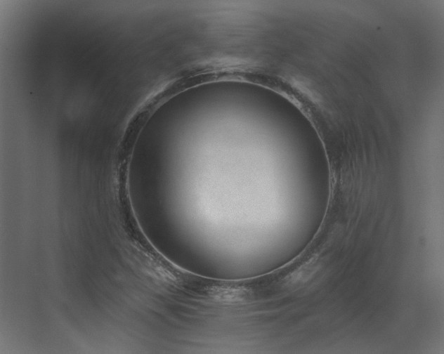 X0000072981309200607211239