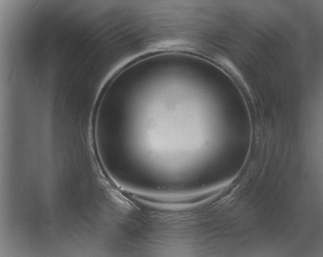 X0000072981336200607211239