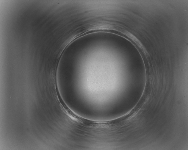 X0000072981337200607211239