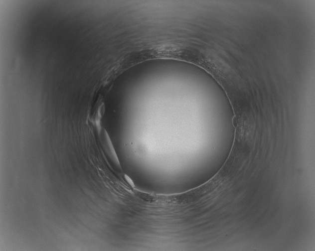 X0000072981346200607211239