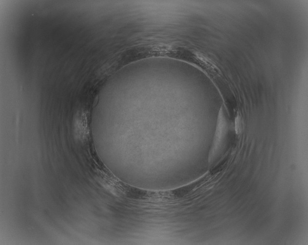 X0000072981347200607211238