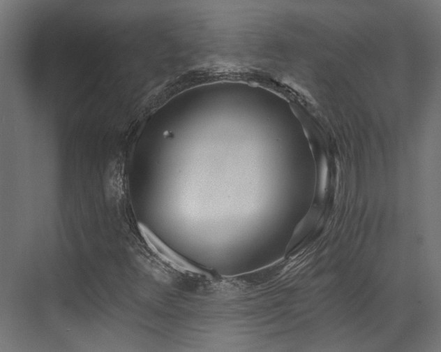 X0000072981348200607211238