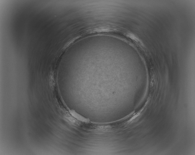 X0000072981353200607211238