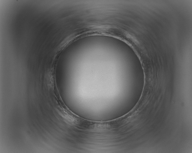 X0000072981354200607211238