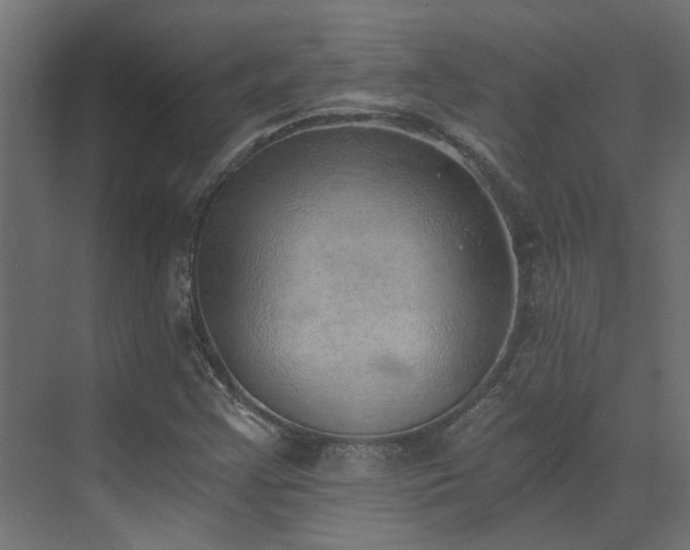 X0000072981355200607211238