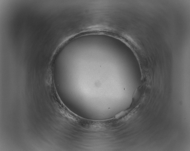 X0000072981358200607211238