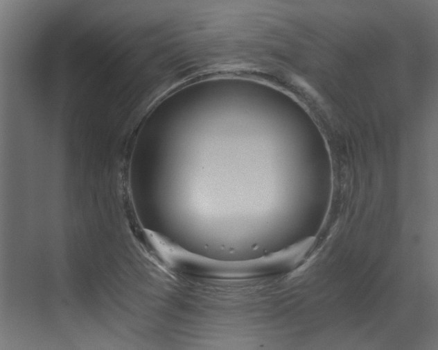 X0000072981361200607211238