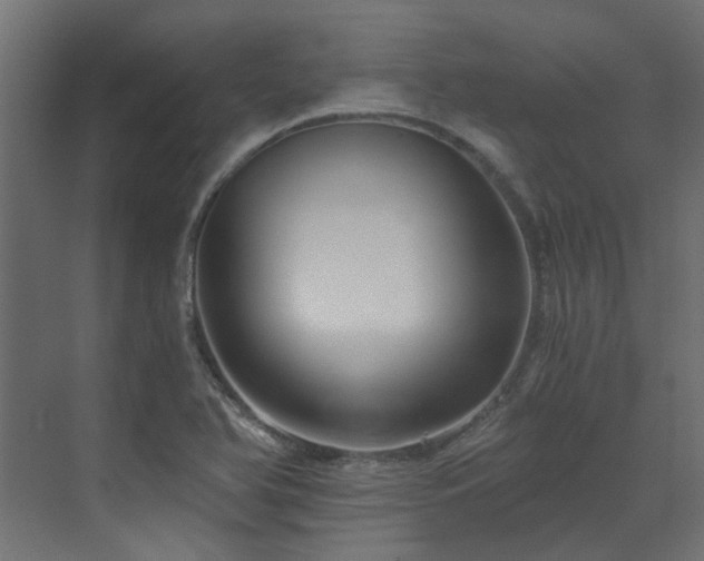 X0000072981366200607211238