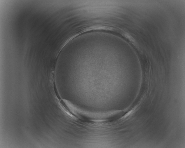 X0000072981369200607211238