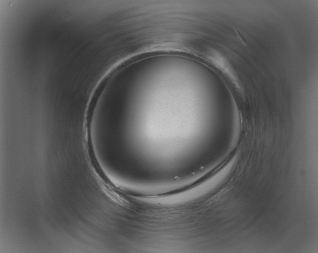 X0000072981372200607211238