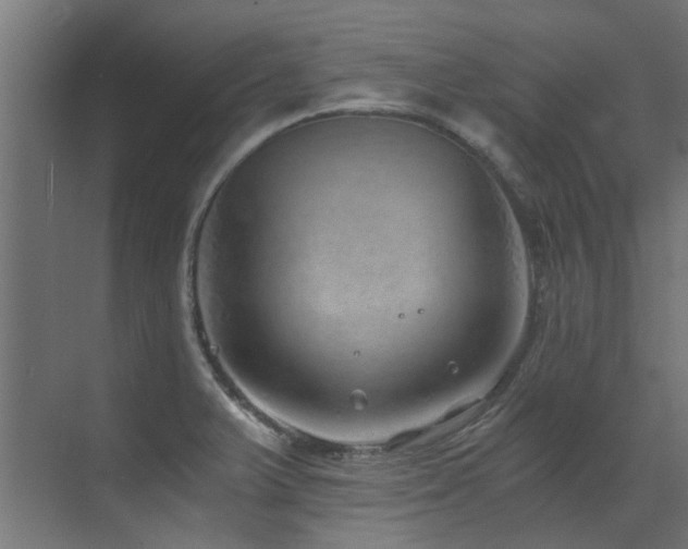 X0000072981375200607211238