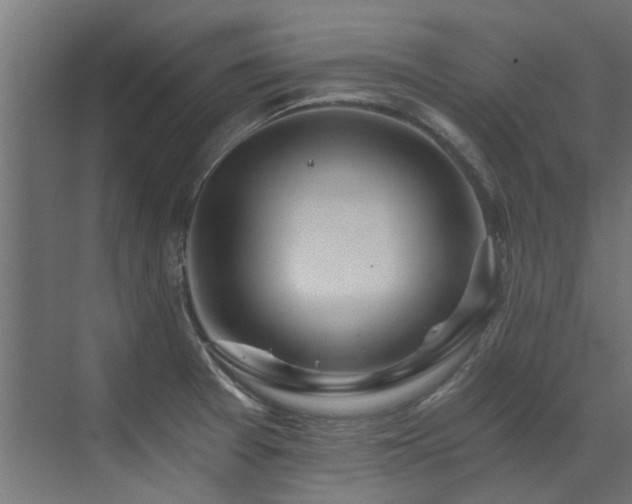 X0000072981377200607211238