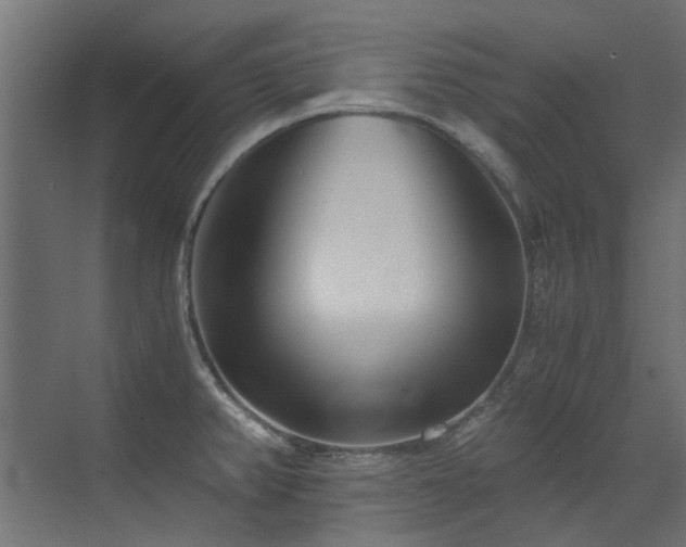 X0000072981382200607211238