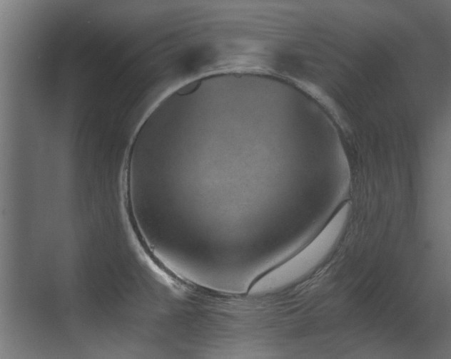 X0000072981383200607211238