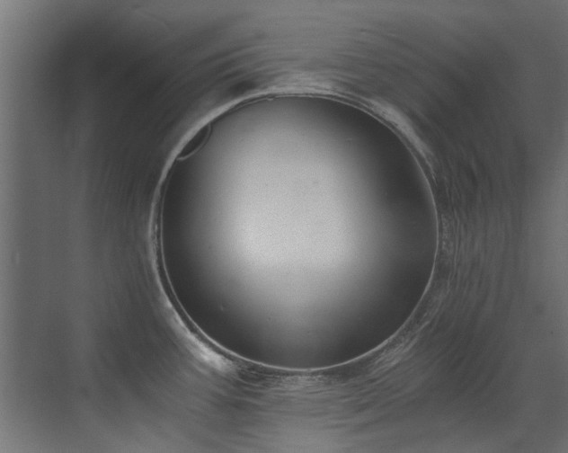 X0000072981387200607211238