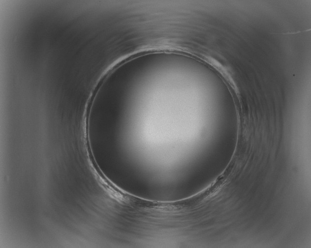 X0000072981388200607211238