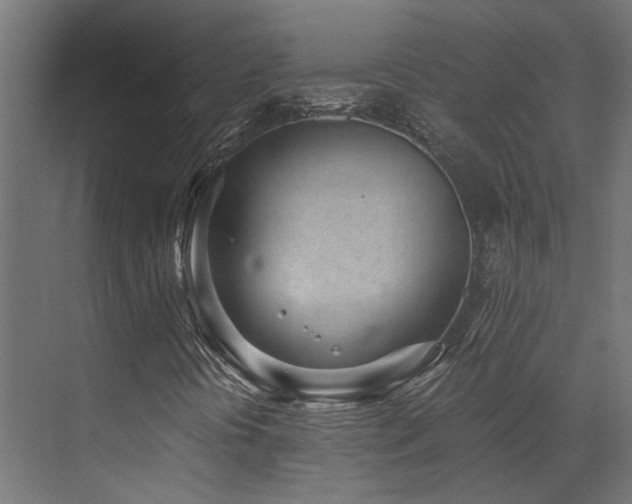 X0000072981394200607211237