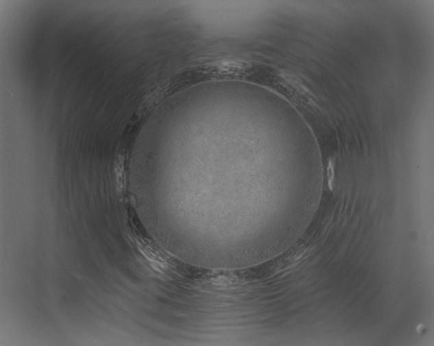 X0000072981395200607211237