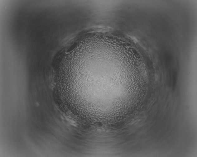 X0000072981399200607211237