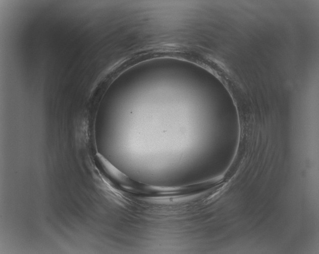 X0000072981402200607211237