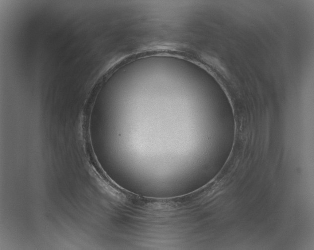 X0000072981404200607211237