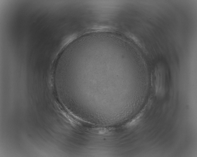 X0000072981405200607211237