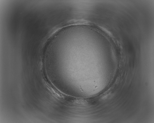 X0000072981407200607211237