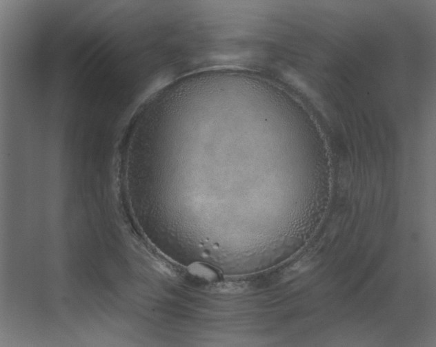 X0000072981411200607211237