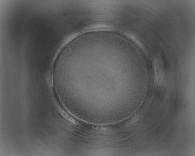 X0000072981413200607211237