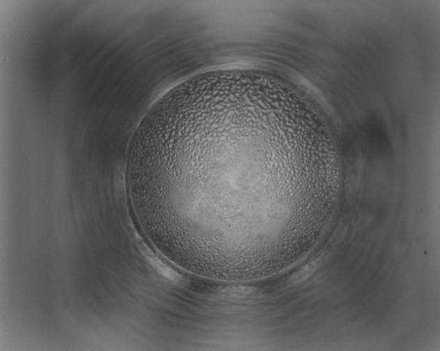 X0000072981417200607211237