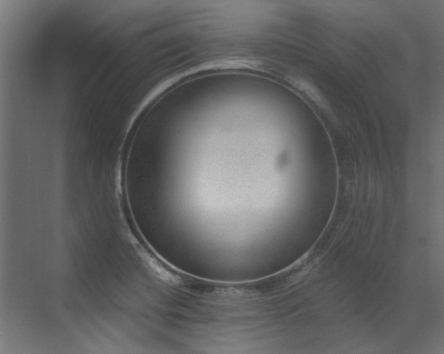 X0000072981420200607211237