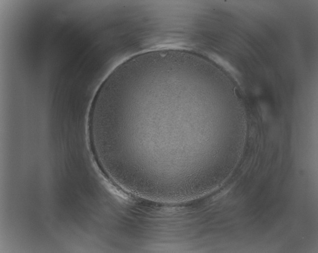 X0000072981423200607211237