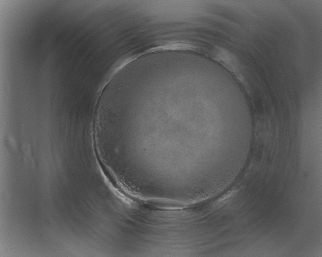 X0000072981425200607211237