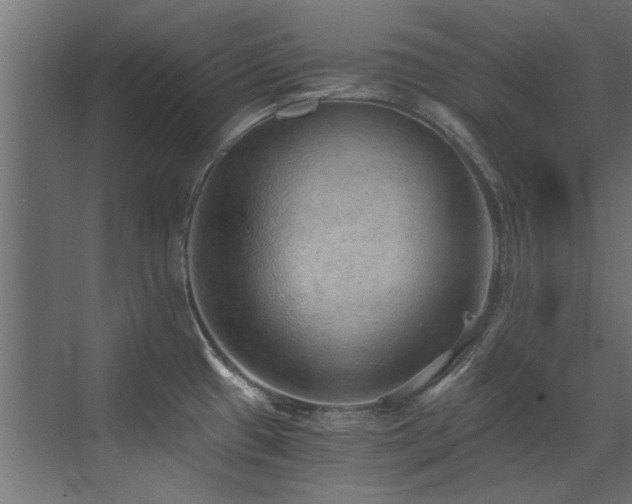 X0000072981433200607211238