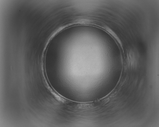 X0000072981437200607211238