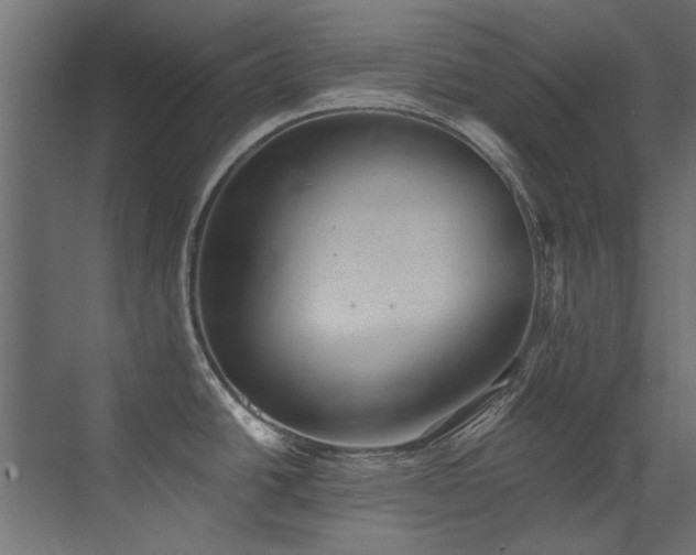 X0000072981438200607211238