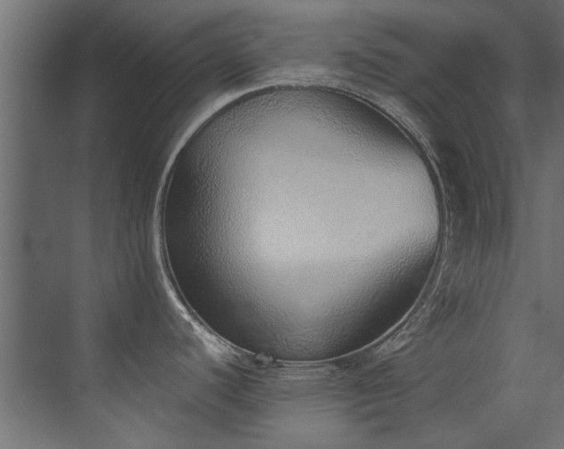 X0000072981440200607211238