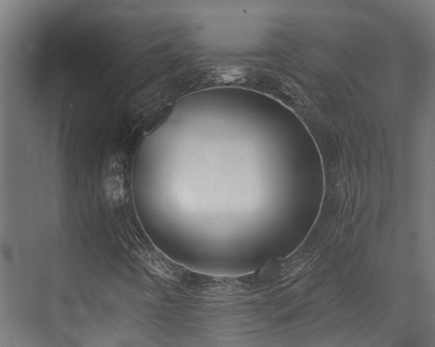 X0000072981442200607211237