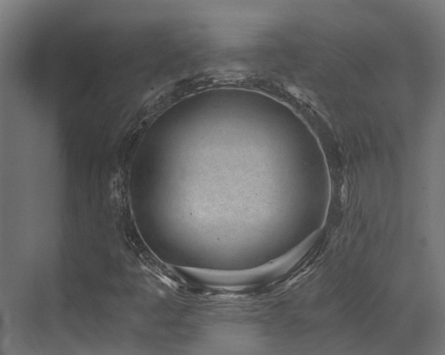 X0000072981445200607211237