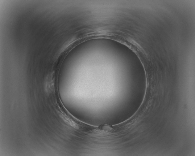 X0000072981450200607211237