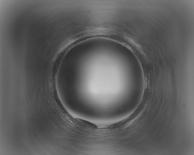 X0000072981453200607211237